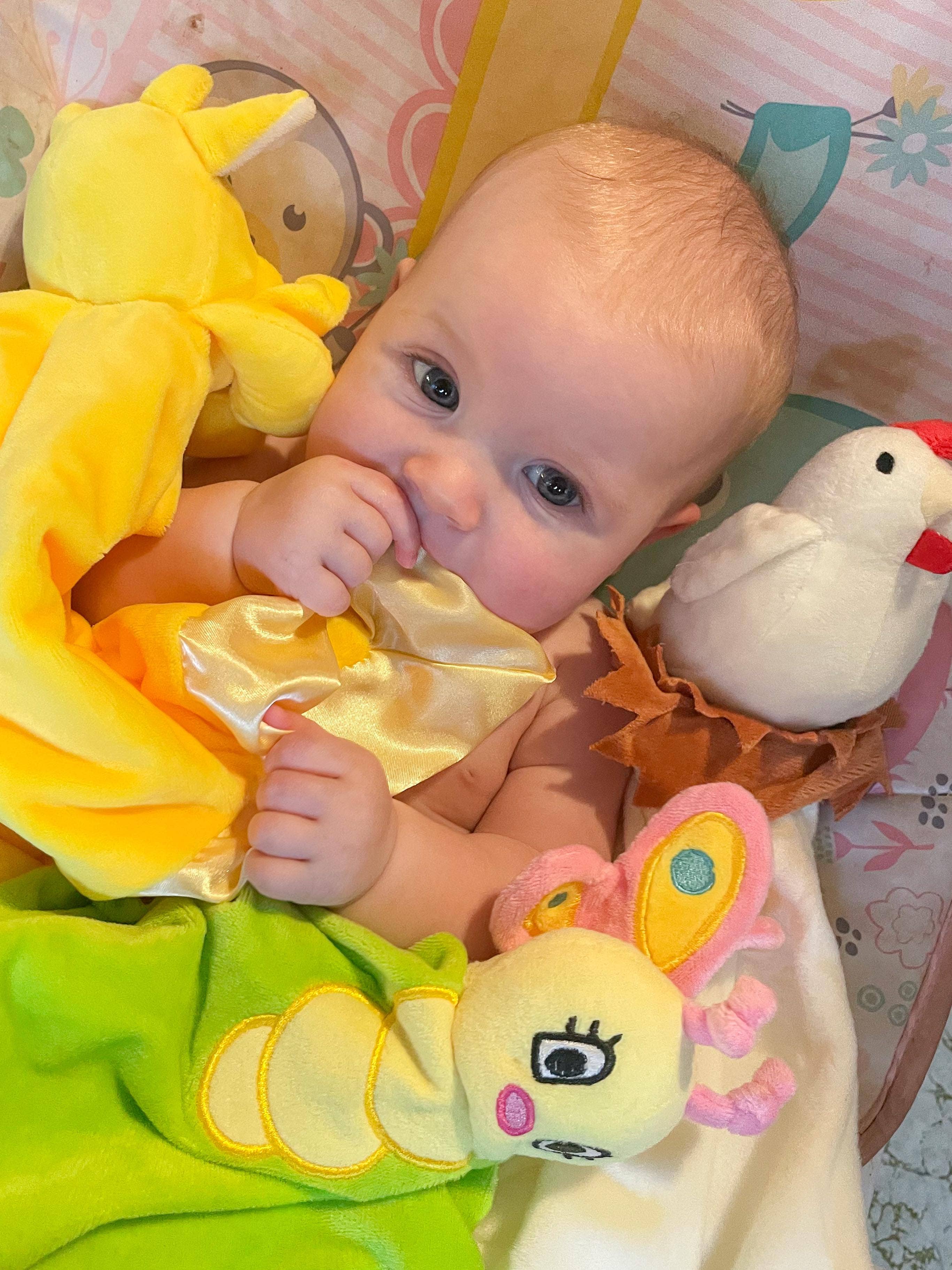 Butterfly Lovey Security Blanket