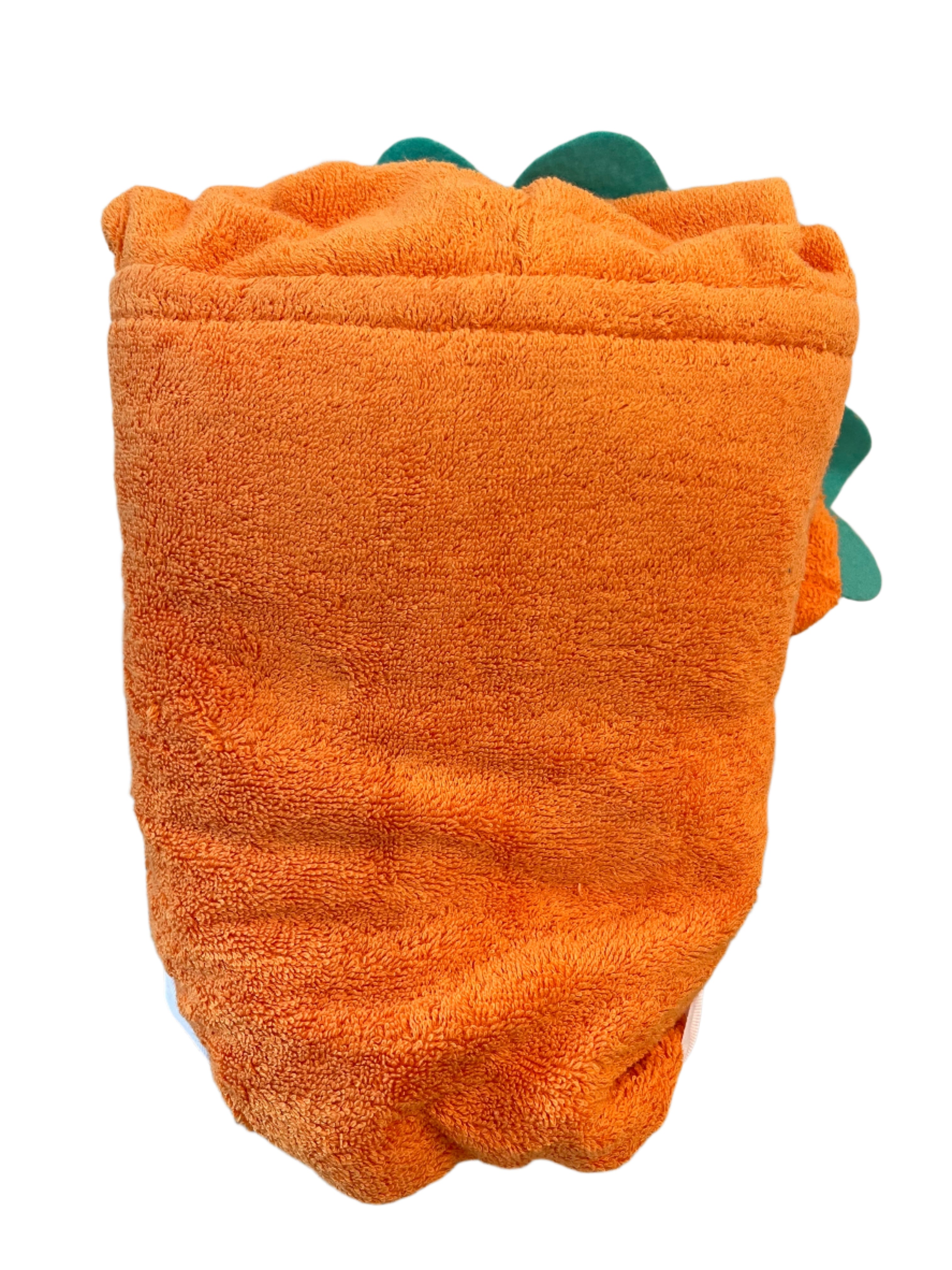 Dinosaur Hooded Towel